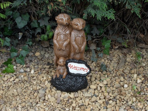 Meerkat welcome concrete