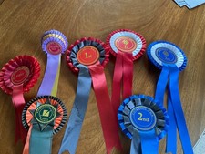 Dressage and showing Rosettes x 6