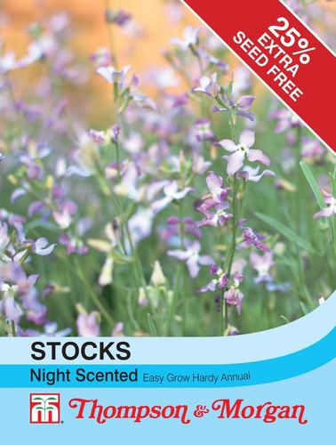 Thompson morgan flowers - thompson,