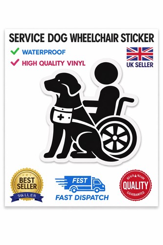 Disabled access vehicle - disabled,