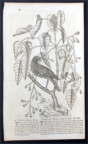 1757 gents magazine original - 1757,