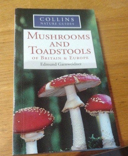 Mushrooms toadstools of - mushrooms,