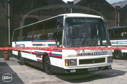 Coach photo badgerline - photo,