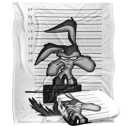 Looney tunes wile - tunes, coyote