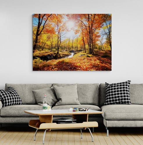 Autumn woodland forest trees - forest,