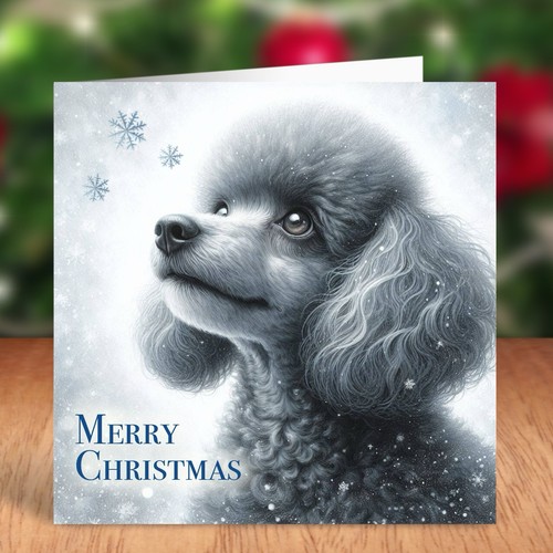Miniature poodle dog - miniature,