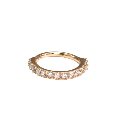 Cartilage helix ring clicker - cartilage,