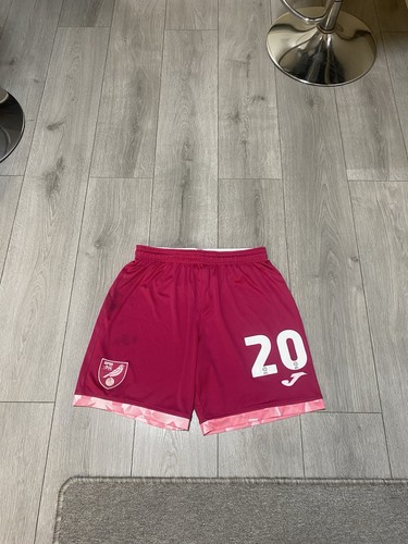 Norwich city match worn - norwich,