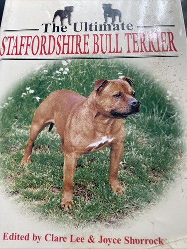 Ultimate staffordshire bull - ultimate,