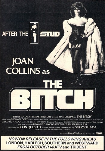 Bitch 1979 magazine advert - bitch,