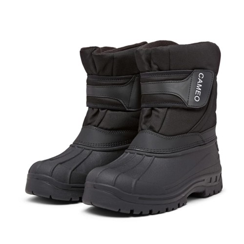 Cameo equine adult winter - equine,