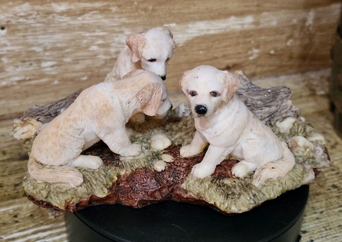 Labrador dog puppies by - dog,