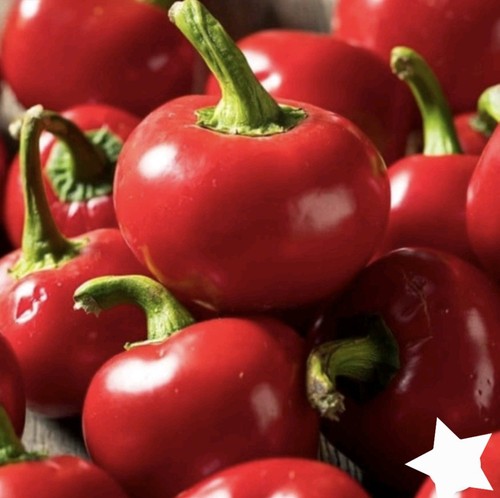 Cherry bomb chilli - chilli, pepper