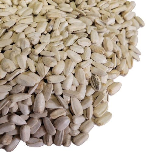 10kg white sunflower seed - white,