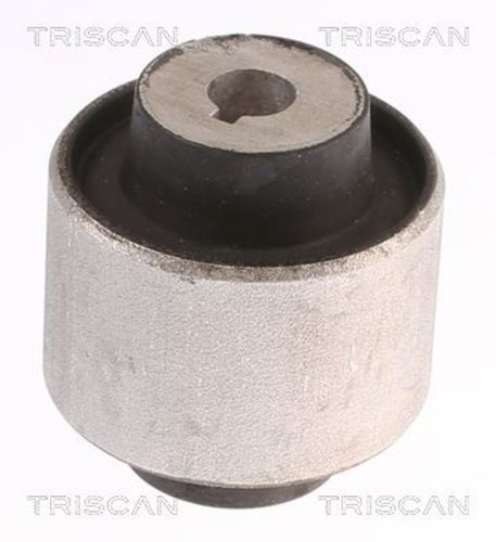 Triscan control arm - triscan, bearing