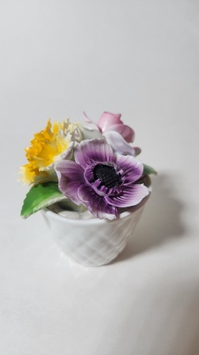 Radnor bone china multicolor - radnor,