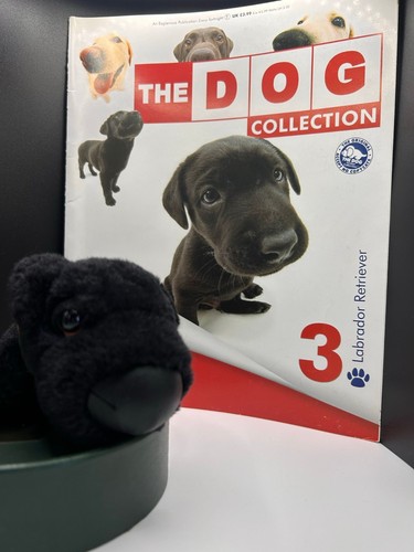 The dog collection - dog, 3