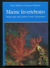 Marine invertebrates - invertebrates,