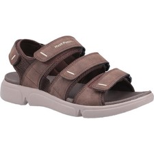 Hush puppies raul - puppies,