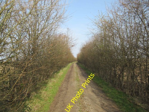 Photo 6x4 enclosed - track, dell