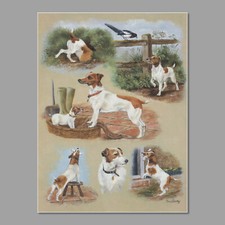 Jack Russell at Play Dog Print - approx 16 x 12 - FREE UK POSTAGE
