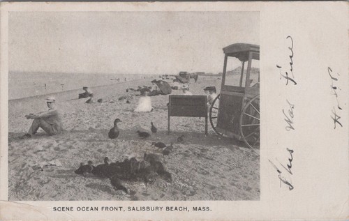 Scene ocean front - front, salisbury