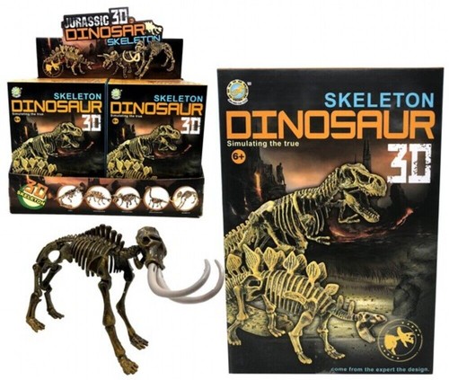 120 dinosaur skeleton - dinosaur,
