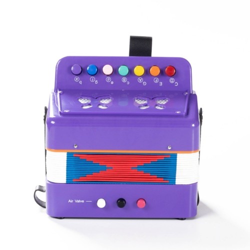 Toy accordion easy play - toy,