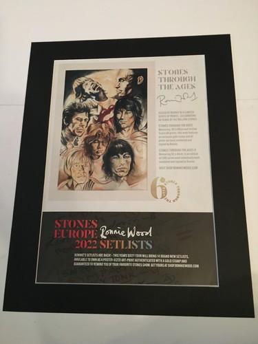 Ronnie wood stones through the - ronnie,