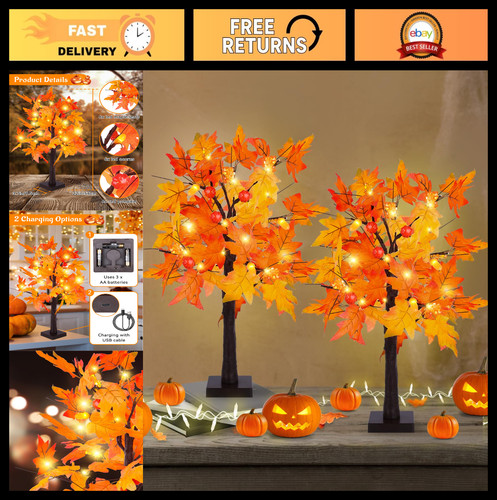 Pack fall maple tree - maple, lights