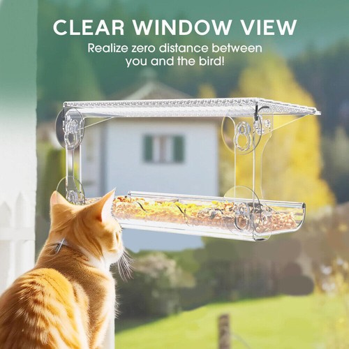 Window bird feeder with - bird,