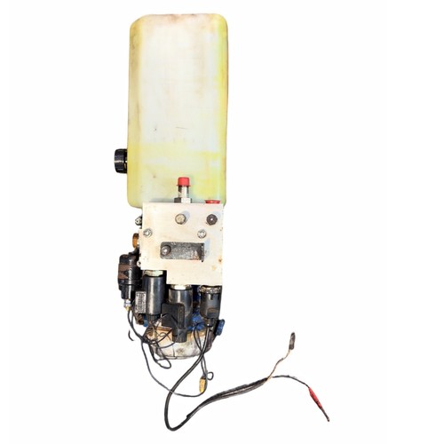 Kerax midlum tp2252270 - midlum,