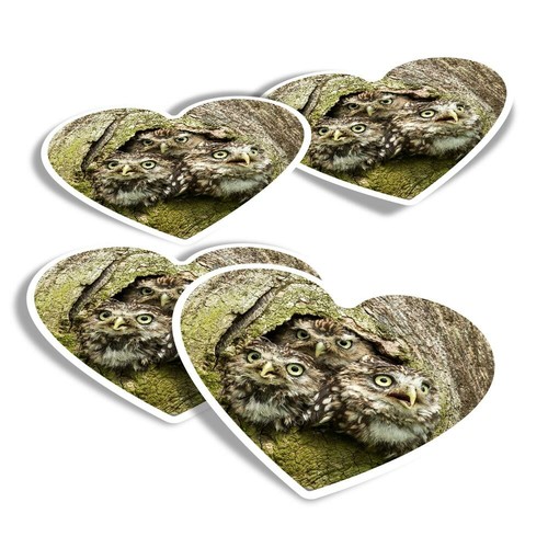 Heart stickers owl - 4x, chicks