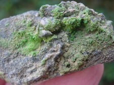 PYROMORPHITE Burgam Mine