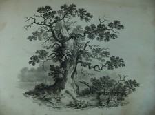 Francis Nicholson "The Shire