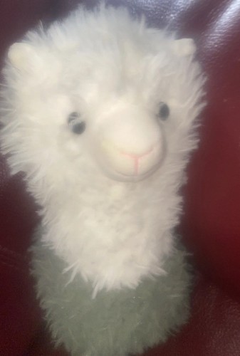 Jing guang alpaca llama - jing,