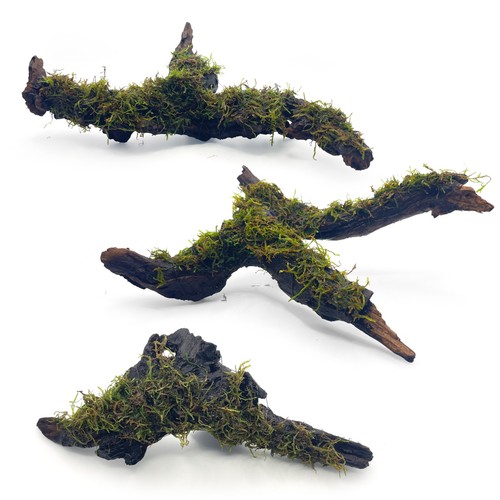 Medium java moss driftwood - medium,