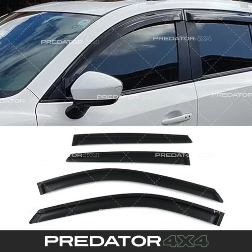 Black smoked wind deflectors - wind,
