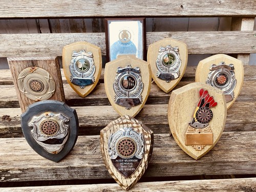 Silver darts trophy - 🏆, 9x