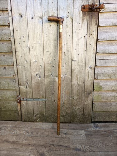 Antique horse measuring - antique, stick