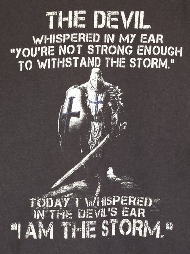 The storm crusader - the,