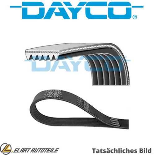 The ribbed belts for - the,
