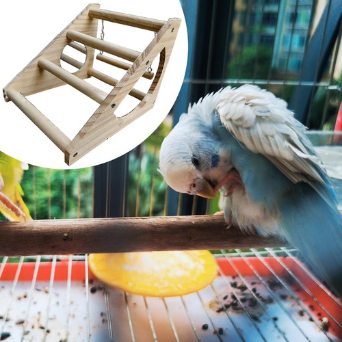 Chick perch sturdy stable - sturdy,