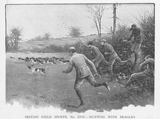 BRITISH FIELD SPORTS No. XVII