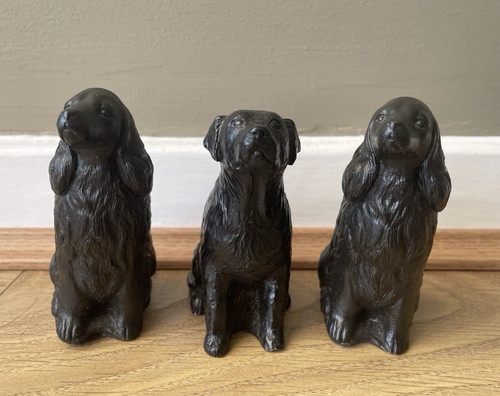 Dogs labrador golden - 3,