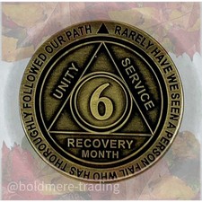 6 Month Alcoholics Anonymous
