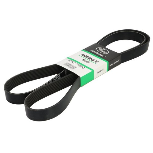 Multi belt fits daf - multi-v-belt,