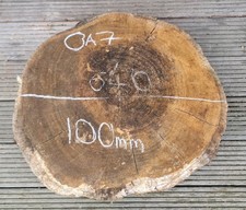 Oak Burr burl Cookie Slice