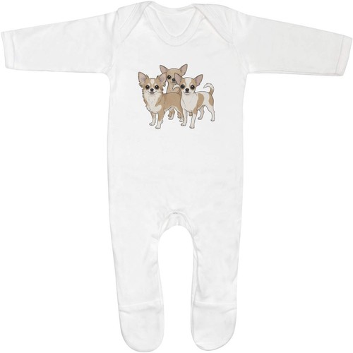 Chihuahua dog family baby - dog,