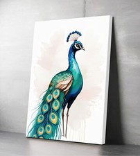 Peacock #3 Minimalist Canvas